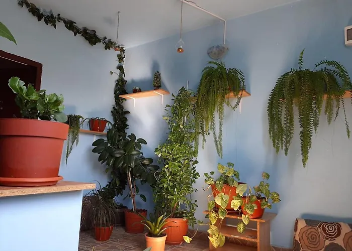 Casa AnaApartamente de Inchiriat Bucuresti